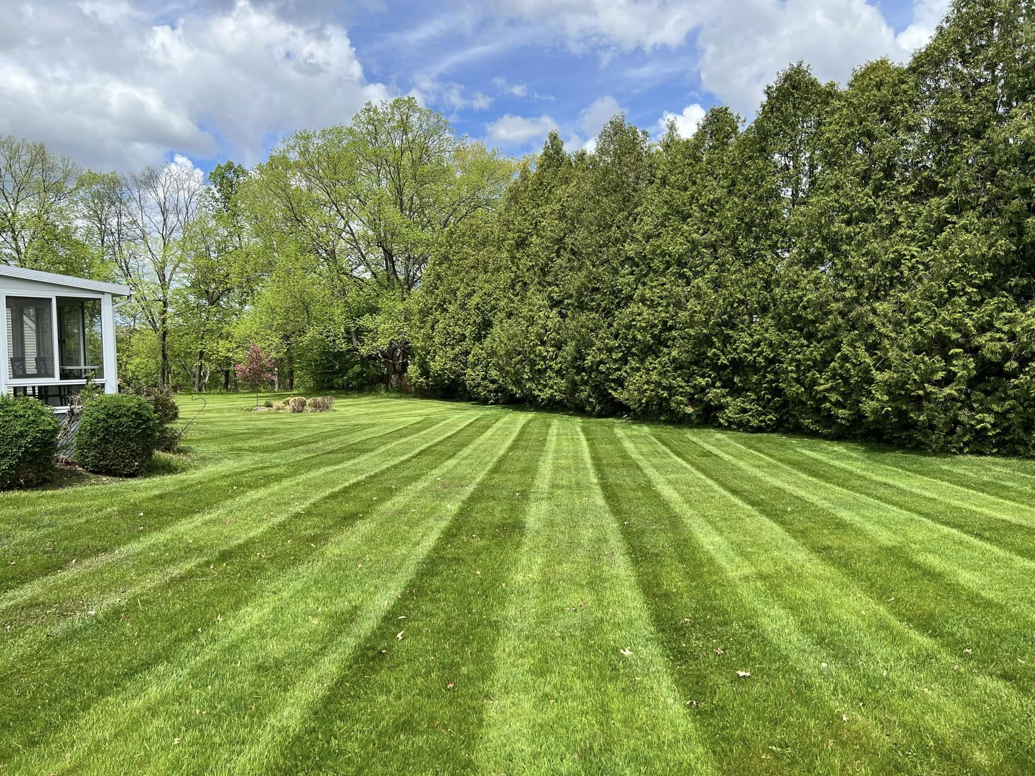 Beautiful landscaped garden